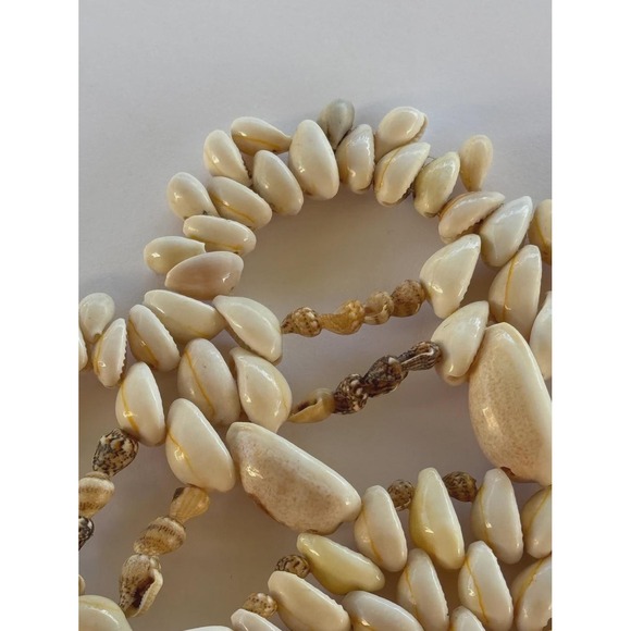 Late 20th Century Natural Cowrie Shell Wall Decor - Picture 3 of 8